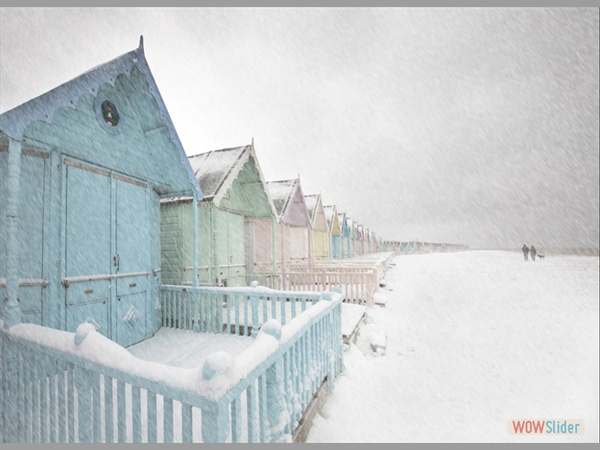 Febrrrrrrry - Chris Aldred - Highly Commended