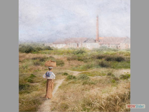 Off to Market - Pat Frewin - Highly Commended