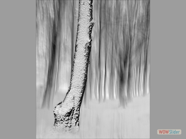 White-Out - Graham Coldrick - Highly Commended